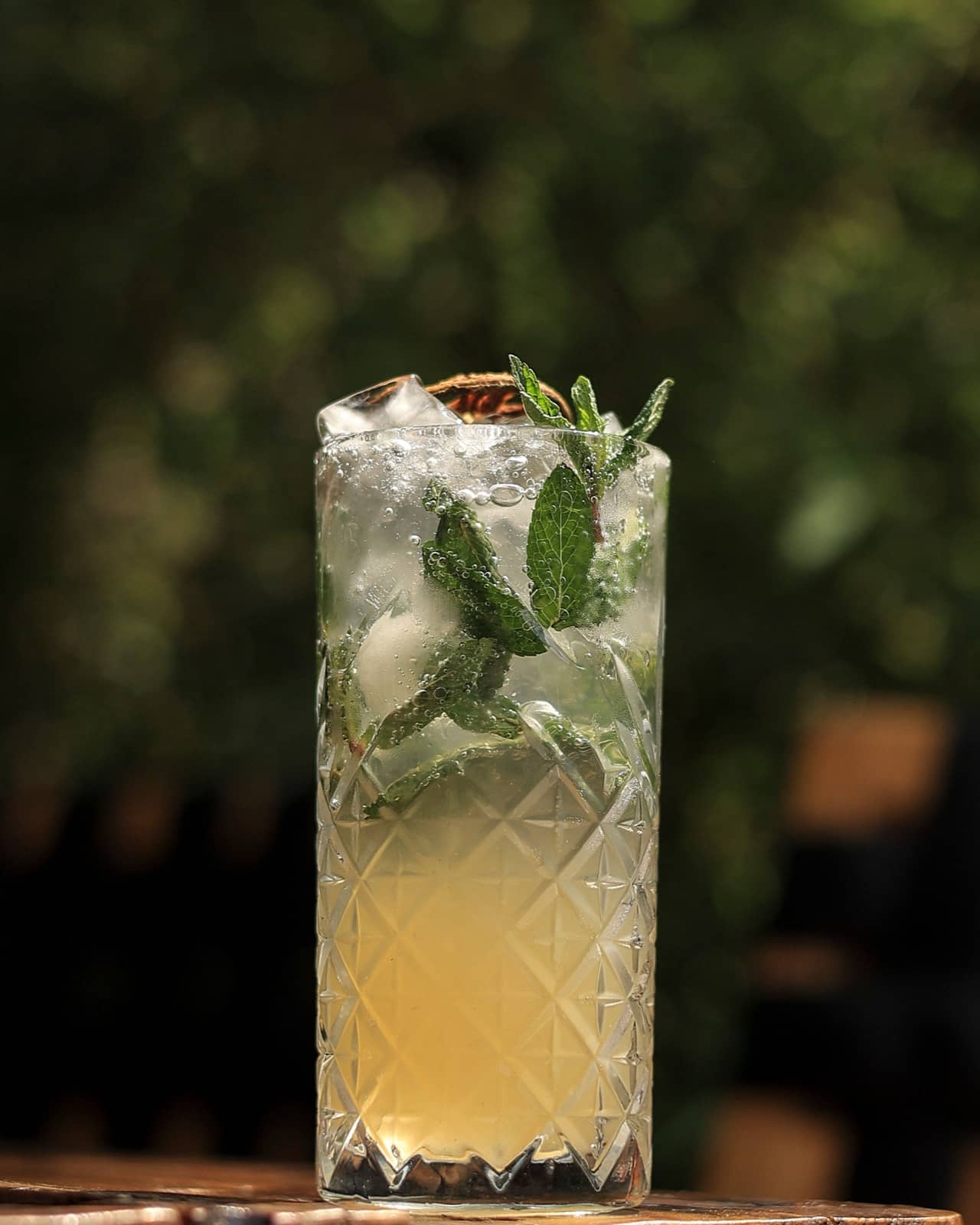 Mojito with fresh mint and crushed ice